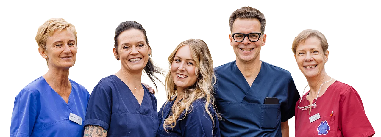 Teamfoto Praxisgemeinschaft Dr. Reich und Dr. Weinmeister, freigestellt